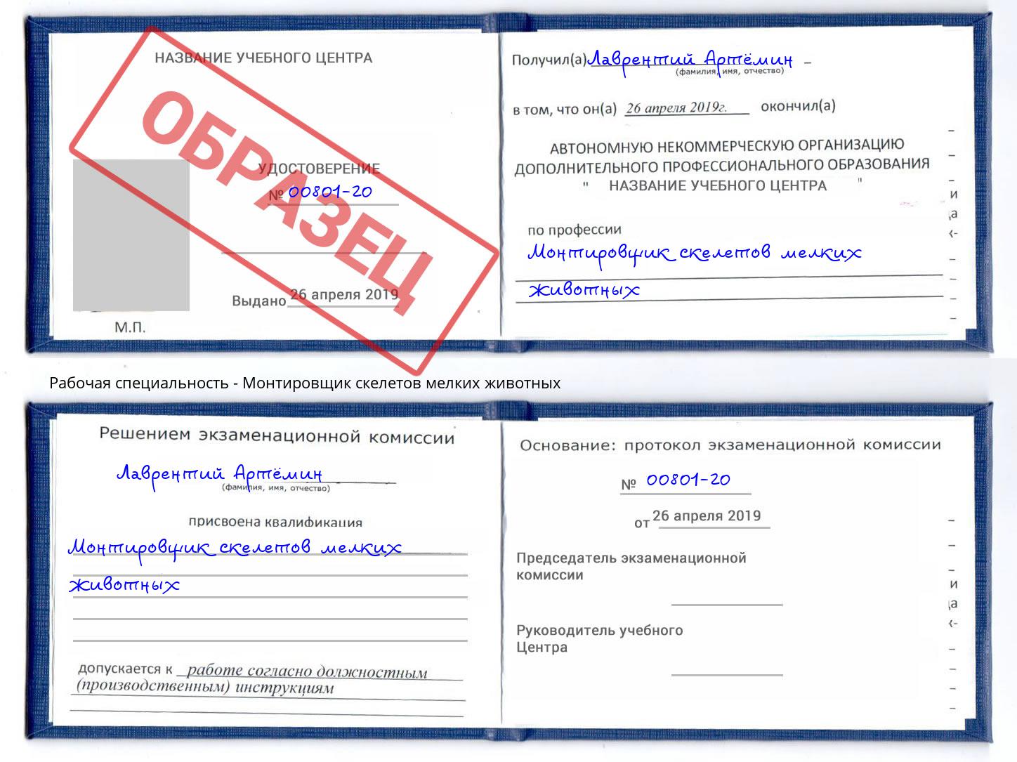 Монтировщик скелетов мелких животных Буйнакск