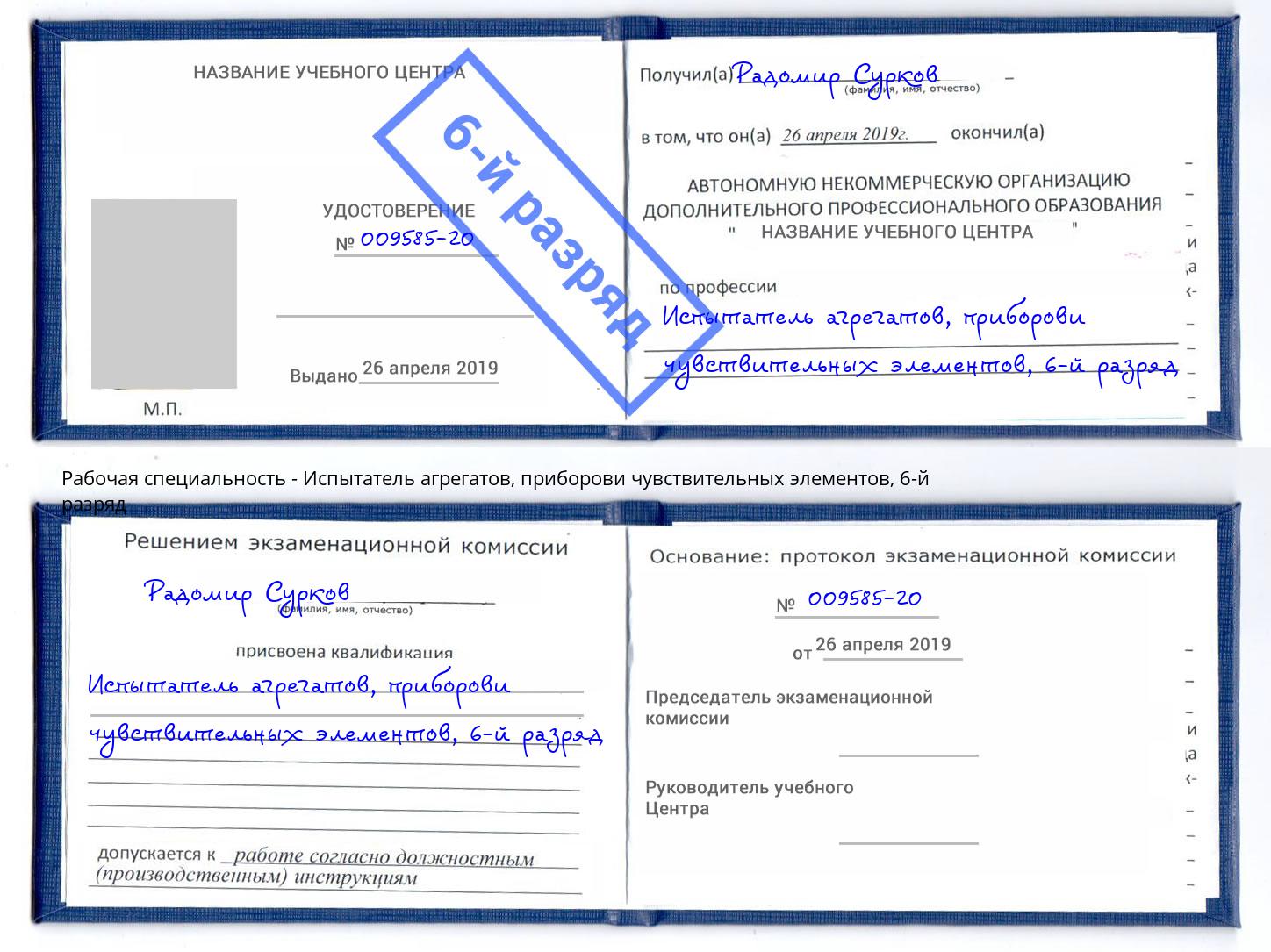 корочка 6-й разряд Испытатель агрегатов, приборови чувствительных элементов Буйнакск