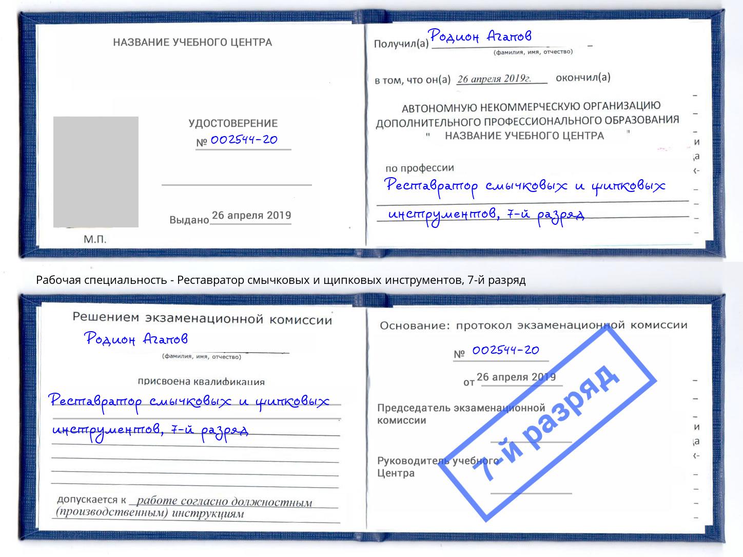 корочка 7-й разряд Реставратор смычковых и щипковых инструментов Буйнакск