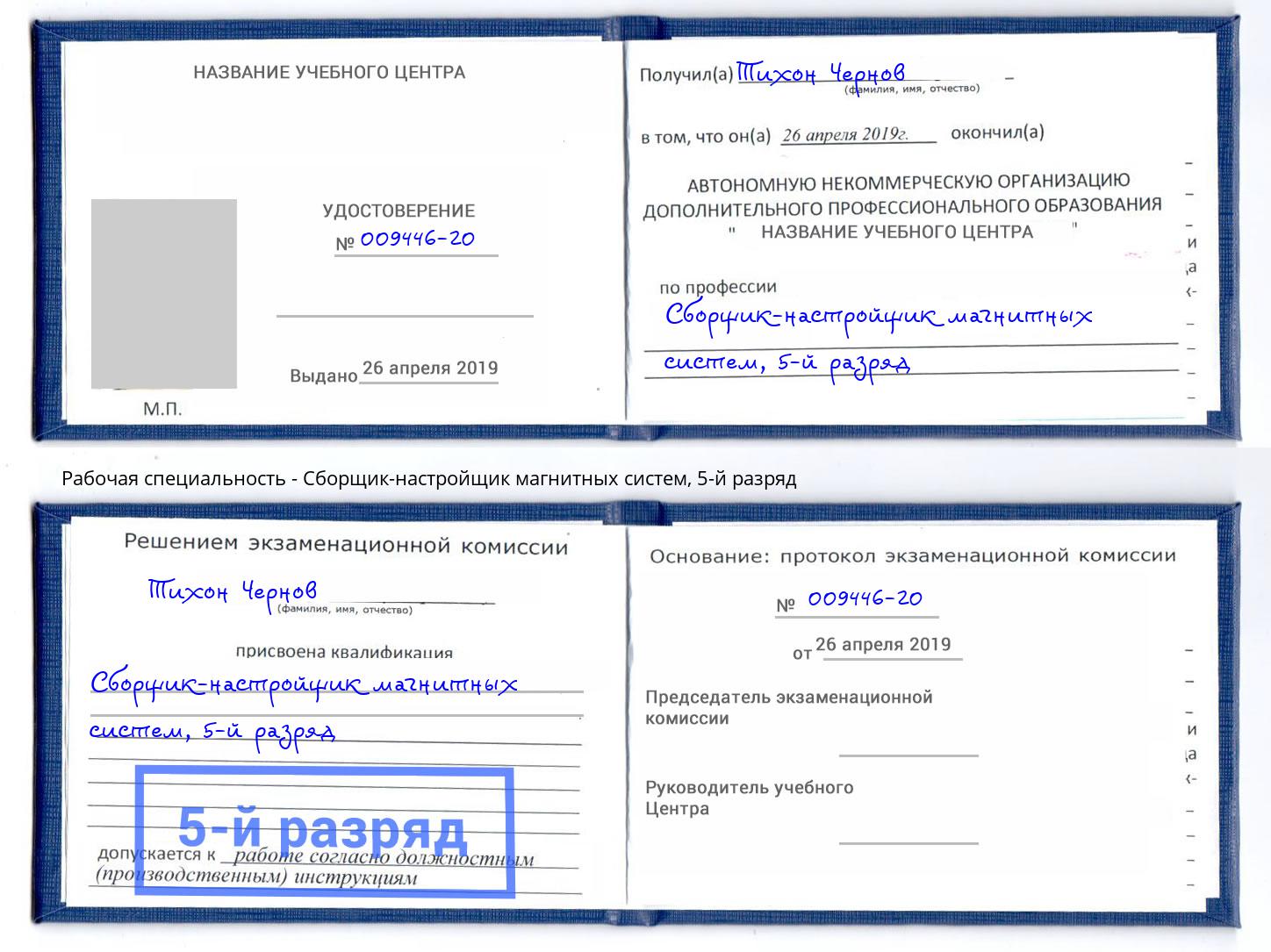 корочка 5-й разряд Сборщик-настройщик магнитных систем Буйнакск