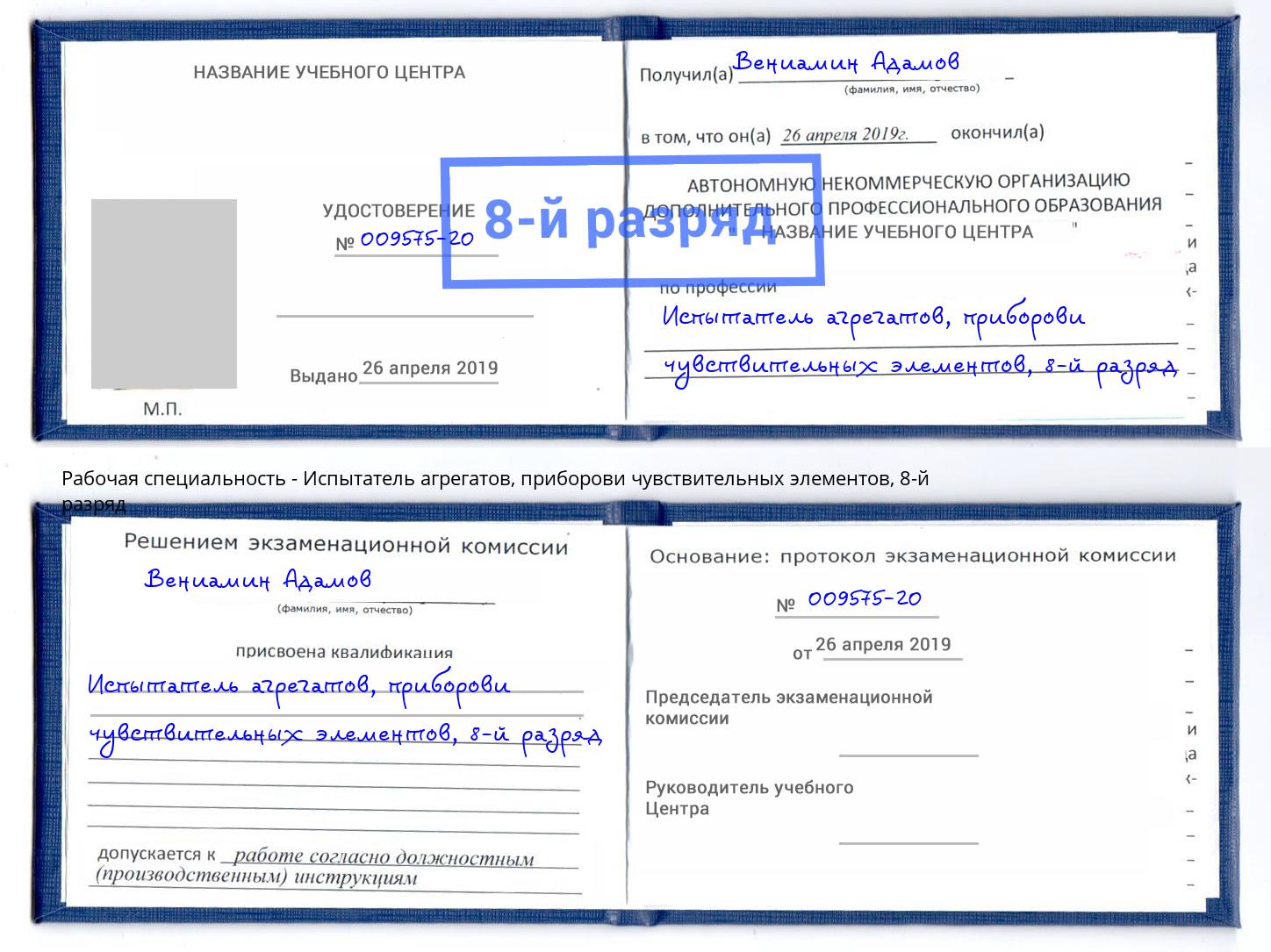 корочка 8-й разряд Испытатель агрегатов, приборови чувствительных элементов Буйнакск